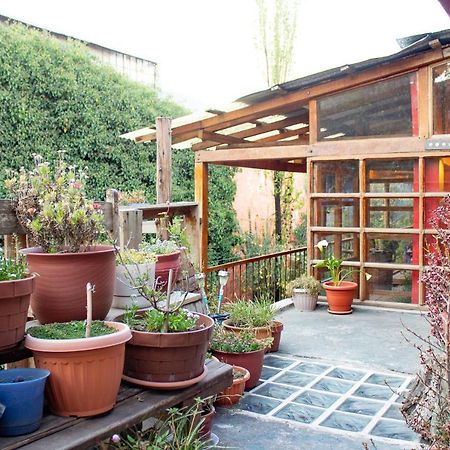 Casa Panqarani Bed & Breakfast Puno Dış mekan fotoğraf